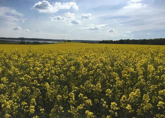 Appartement Baltic Joy By Interhome